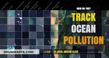 Ocean Pollution: Tracking Methods and Technologies