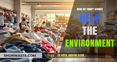 Thrift Stores: Eco-Friendly Shopping for a Sustainable Future