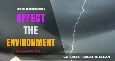 Thunderstorms' Environmental Impact: Effects on Nature and Ecosystems Explained