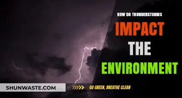 Thunderstorms' Environmental Impact: Effects on Ecosystems, Air Quality, and Land