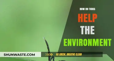 Ticks' Surprising Role: Supporting Ecosystems and Environmental Balance