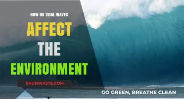 Tidal Waves' Environmental Impact: Destruction, Ecosystems, and Coastal Resilience