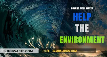 Tidal Waves: Unseen Environmental Benefits and Coastal Ecosystem Support
