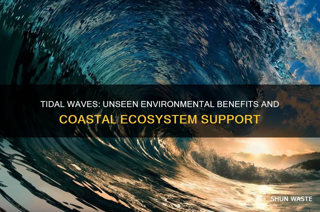 how do tidal waves help the environment