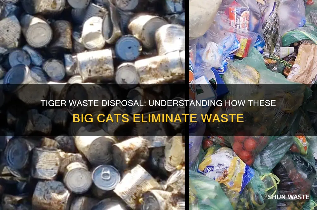 how do tigers get rid of waste