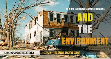 Tornadoes' Impact: Human Lives, Ecosystems, and Environmental Consequences Explored