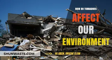 Tornadoes' Environmental Impact: Destruction, Ecosystem Changes, and Long-Term Effects