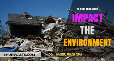 Tornadoes' Environmental Impact: Destruction, Ecosystem Changes, and Long-Term Effects