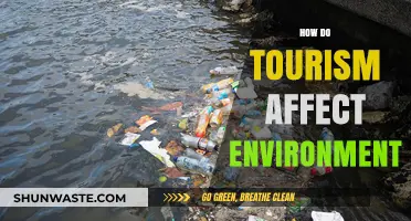 Exploring Tourism's Environmental Impact: Challenges and Sustainable Solutions