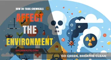 Toxic Chemicals: Unseen Environmental Threats and Their Devastating Impacts