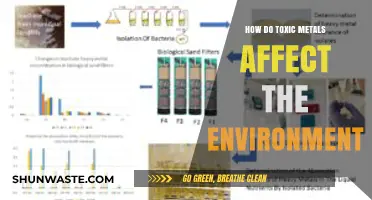 Toxic Metals' Devastating Impact on Ecosystems and Environmental Health