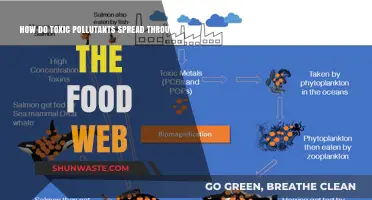 Toxic Pollutants: Spreading Poison Through the Food Web