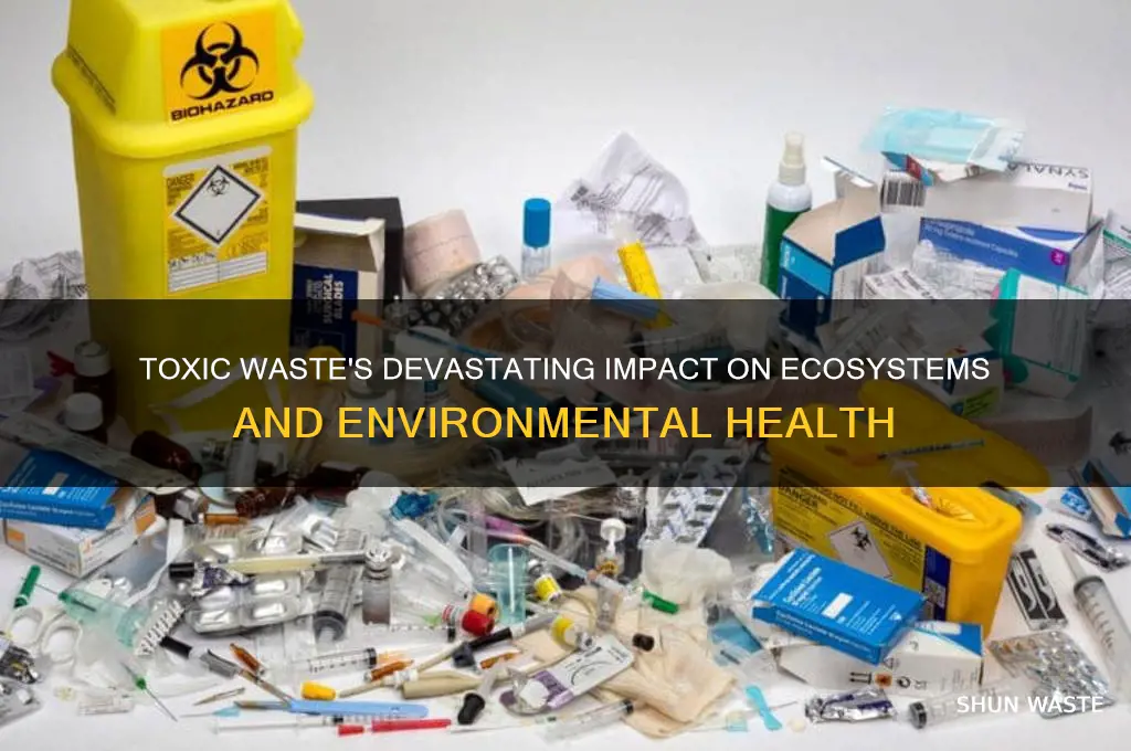 how do toxic waste affect the environment