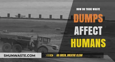 Toxic Waste Dumps: Unseen Dangers and Human Health Consequences