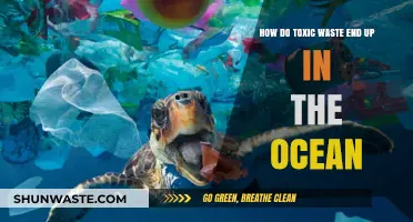 Toxic Waste in the Ocean: Sources, Pathways, and Environmental Impact