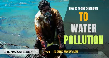 Unveiling the Toxic Threat: How Toxins Pollute Our Waterways