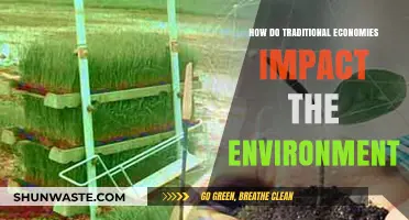 Traditional Economies and Their Environmental Footprint: A Critical Analysis