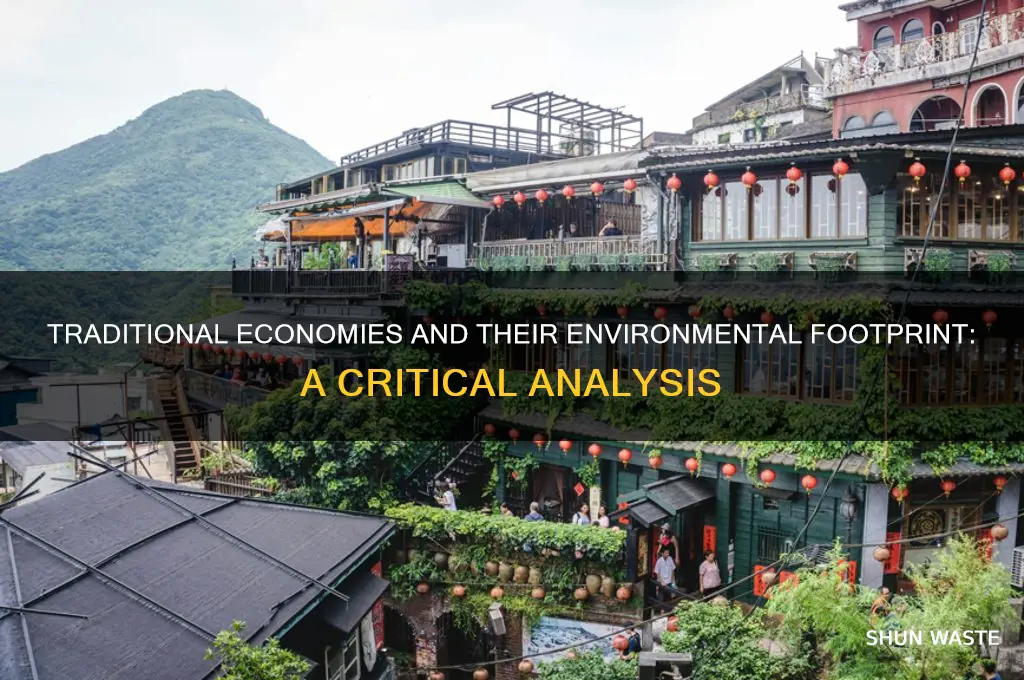 how do traditional economies impact the environment