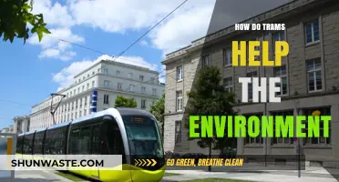 Trams: Eco-Friendly Urban Transport Reducing Carbon Footprint and Traffic