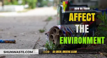 Trash's Toxic Impact: How Waste Destroys Our Environment and Wildlife
