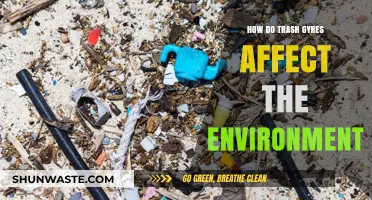 Trash Gyres: Devastating Environmental Impacts and Urgent Solutions Needed