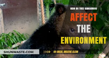 Tree Kangaroos' Ecological Impact: Shaping Forests and Biodiversity