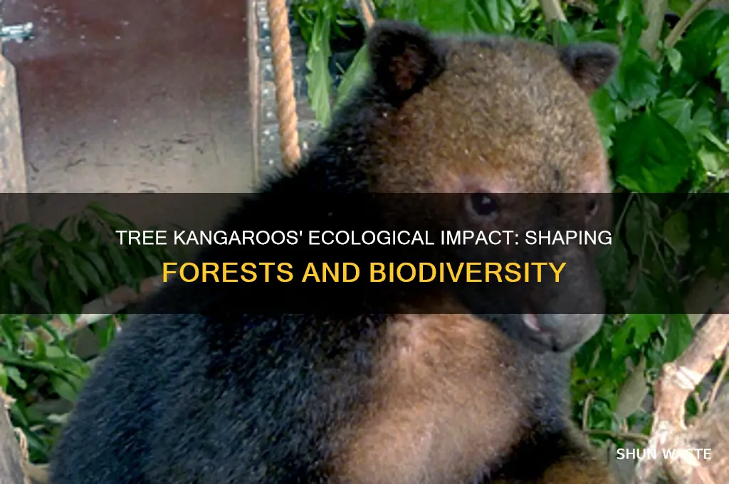 how do tree kangaroos affect the environment