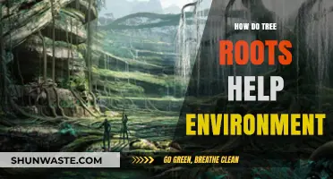 Tree Roots: Unseen Heroes Sustaining Ecosystems and Climate Health