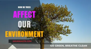 Trees' Vital Role: Shaping Ecosystems and Sustaining Our Environment