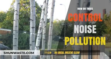 Trees: Natural Noise Pollution Solution