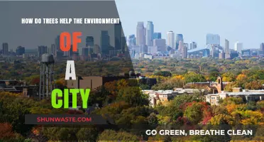 Urban Trees: Enhancing City Air, Biodiversity, and Climate Resilience