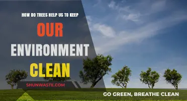 Trees: Nature's Silent Heroes Cleaning Our Environment Effectively