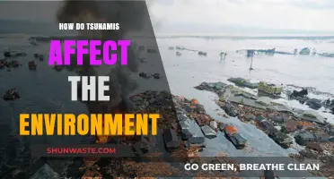 Tsunamis' Environmental Impact: Destruction, Ecosystem Disruption, and Long-Term Effects