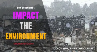 Tsunamis' Environmental Toll: Destruction, Ecosystem Disruption, and Long-Term Effects