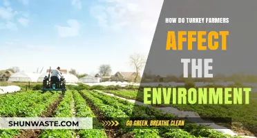 Turkey Farming's Environmental Impact: Sustainability Challenges and Solutions