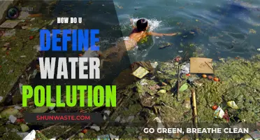 Understanding Water Pollution: Causes, Effects, and Solutions