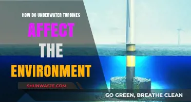 Underwater Turbines: Environmental Impact and Sustainability Explored