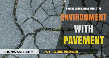 Urban Pavement's Environmental Impact: Consequences and Sustainable Solutions
