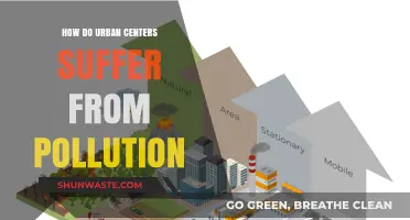 Urban Pollution: A Battle for Cleaner Air