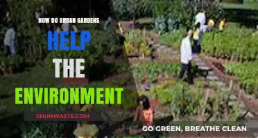 Urban Gardens: Greening Cities, Cooling Climate, and Boosting Biodiversity