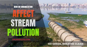 Urbanization's Impact: Streams and Pollution