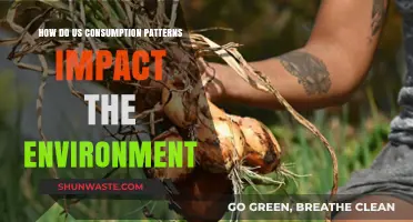 US Consumption Habits: Environmental Consequences and Sustainable Solutions
