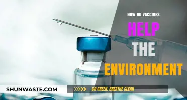 Vaccines Protect Health, Reduce Waste, and Foster a Greener Planet