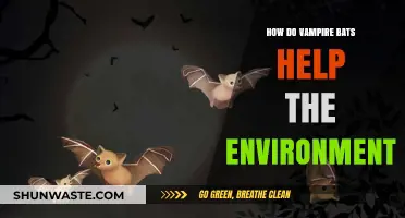 Vampire Bats: Unsung Eco-Heroes in Rainforest Conservation and Health