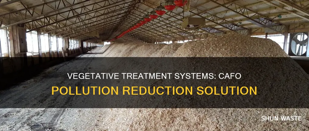 how do vegatative treatment systems for cafos help reduce pollution