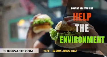 Vegetarian Diets: A Sustainable Choice for a Greener Planet