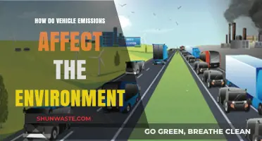 Vehicle Emissions: Environmental Impact and Sustainable Solutions Explained