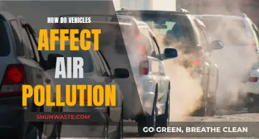 Vehicle Emissions: Impacting Air Pollution and Climate Change