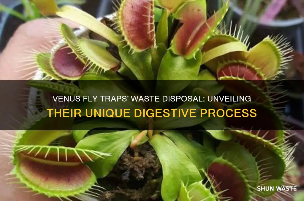 how do venus fly traps get rid of waste