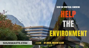 Vertical Gardens: Eco-Friendly Solutions for Greener Urban Environments